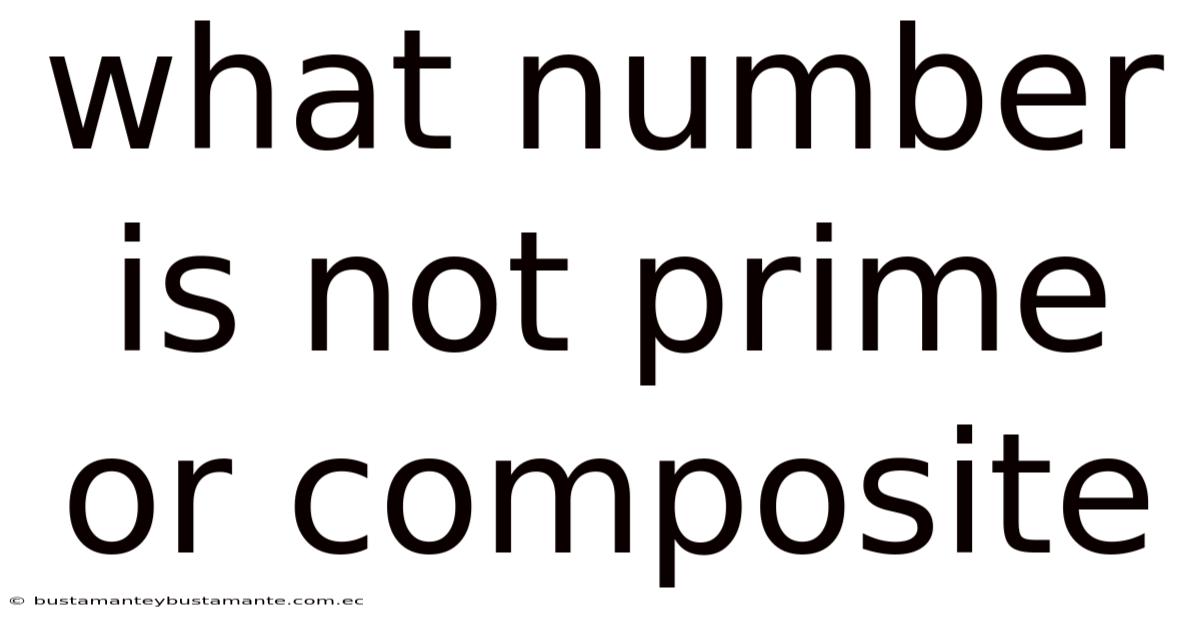 What Number Is Not Prime Or Composite