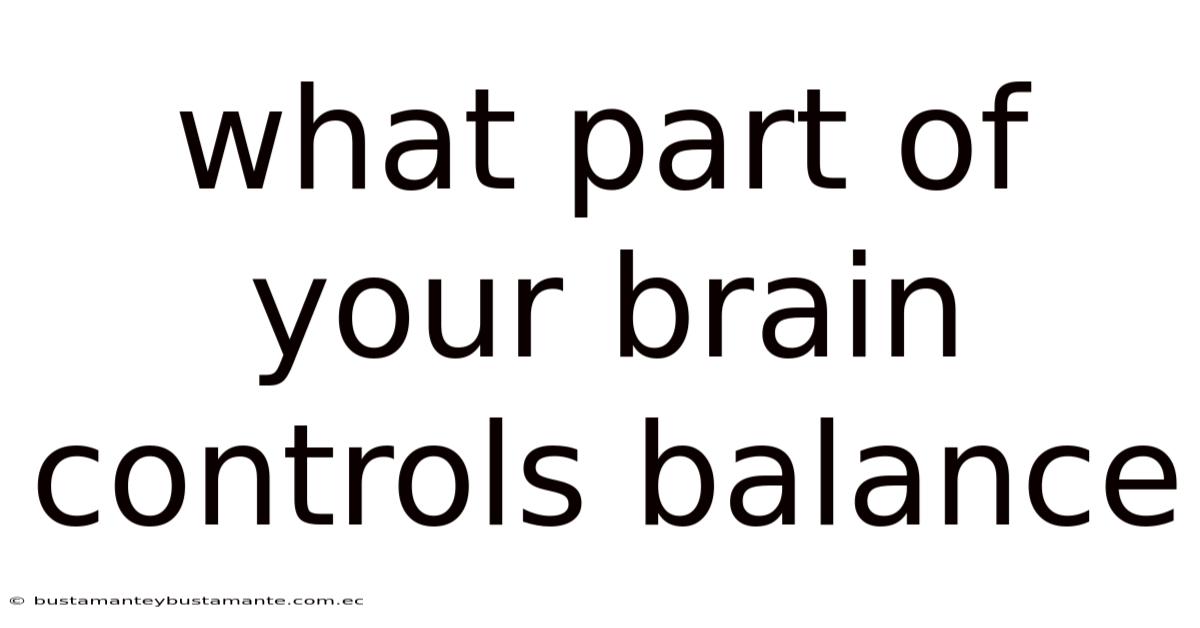 What Part Of Your Brain Controls Balance