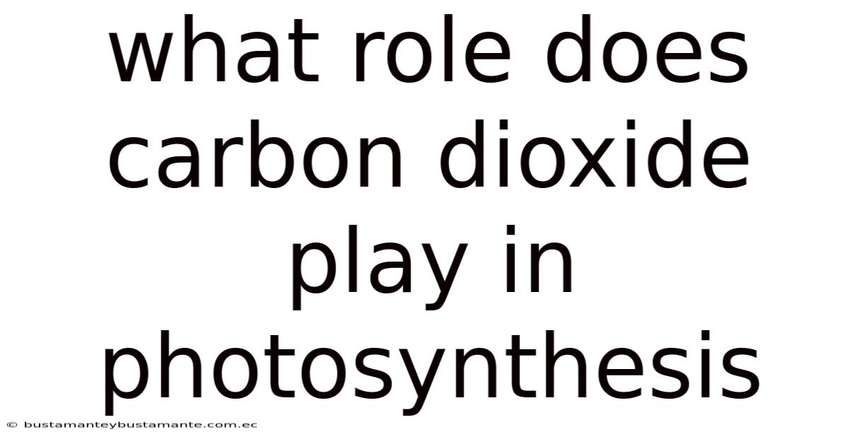 What Role Does Carbon Dioxide Play In Photosynthesis
