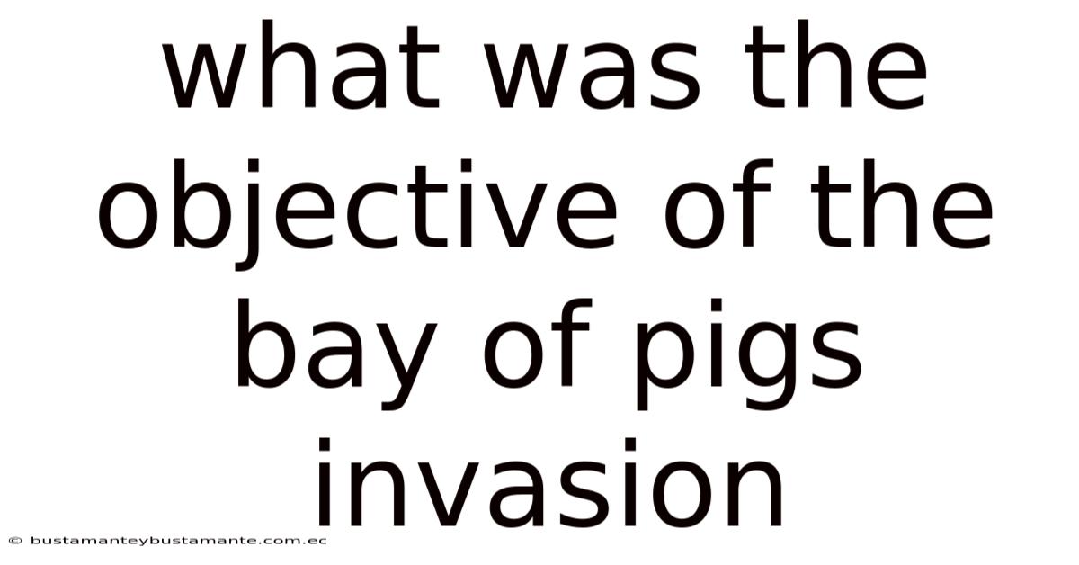 What Was The Objective Of The Bay Of Pigs Invasion