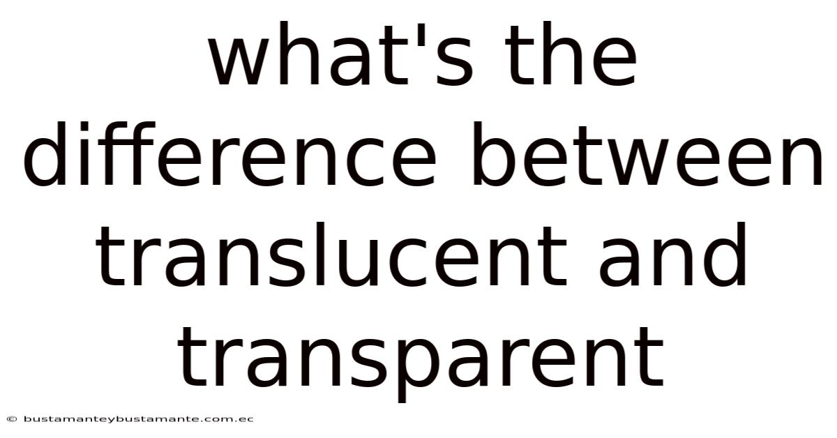 What's The Difference Between Translucent And Transparent