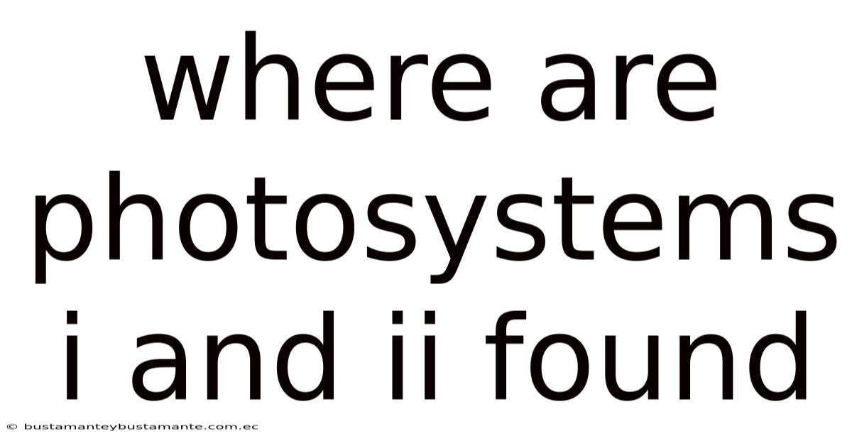 Where Are Photosystems I And Ii Found
