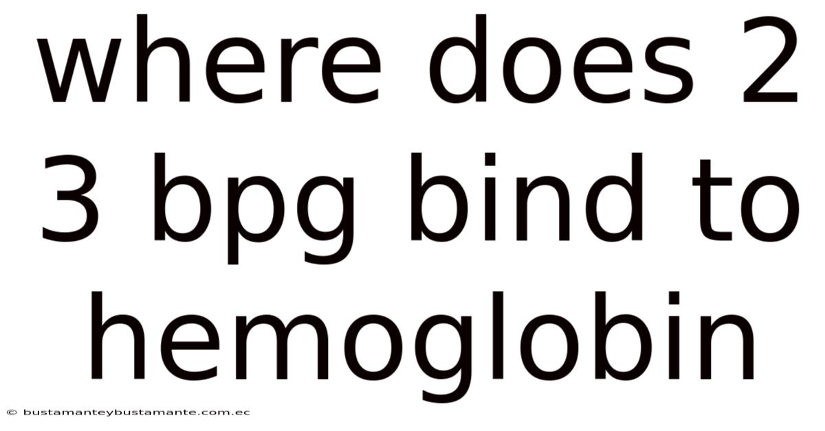 Where Does 2 3 Bpg Bind To Hemoglobin