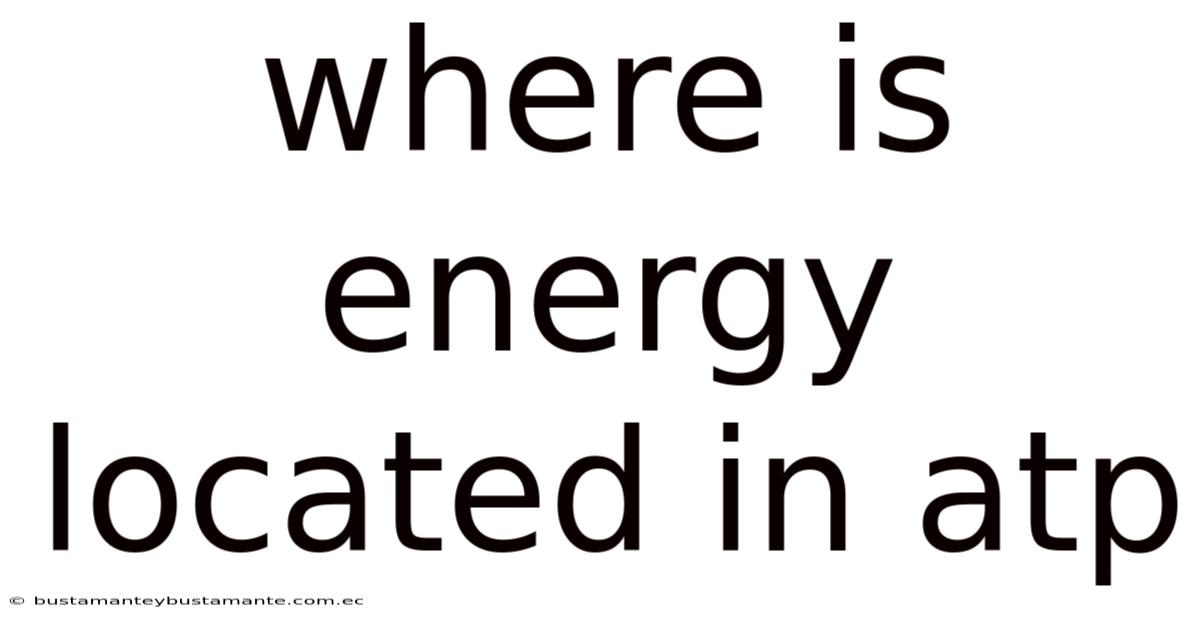 Where Is Energy Located In Atp