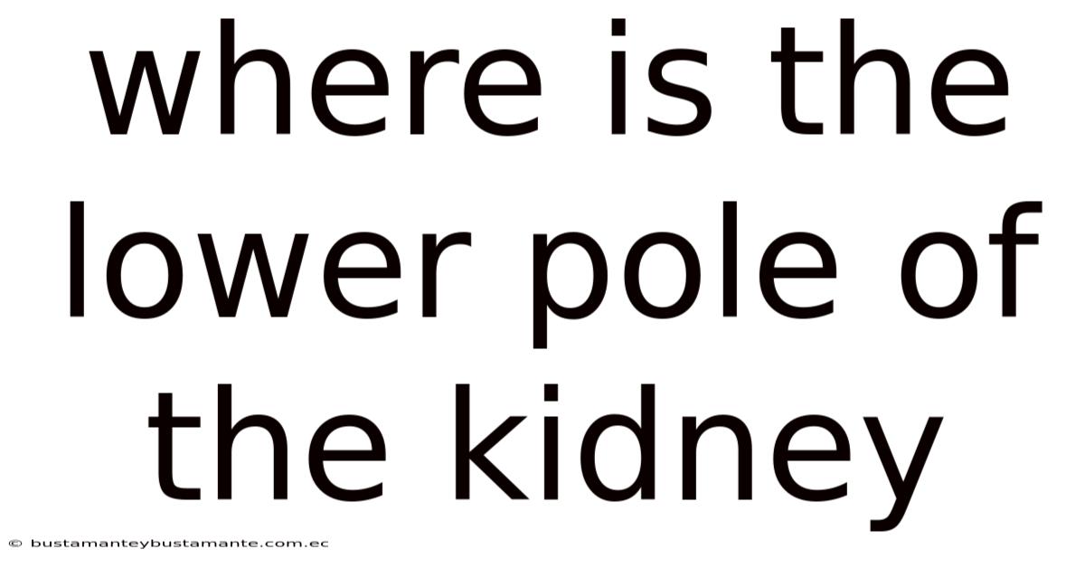 Where Is The Lower Pole Of The Kidney