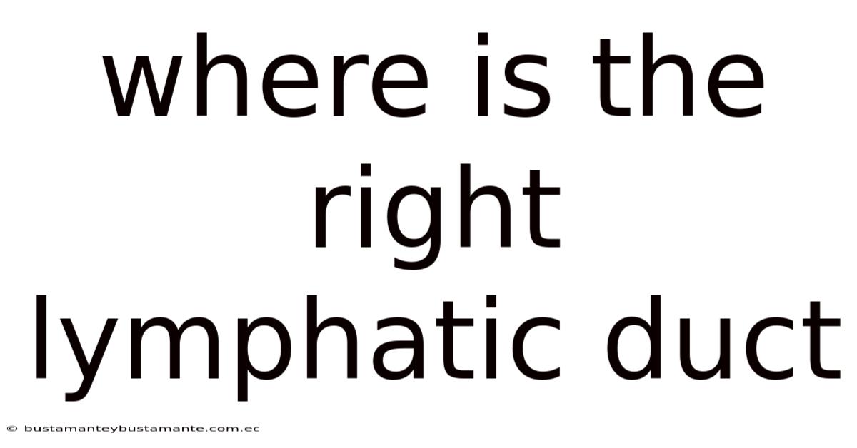 Where Is The Right Lymphatic Duct