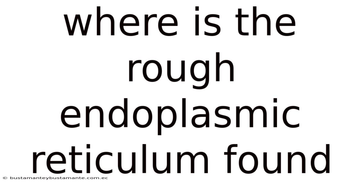 Where Is The Rough Endoplasmic Reticulum Found