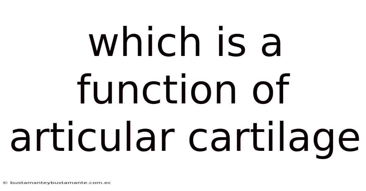 Which Is A Function Of Articular Cartilage
