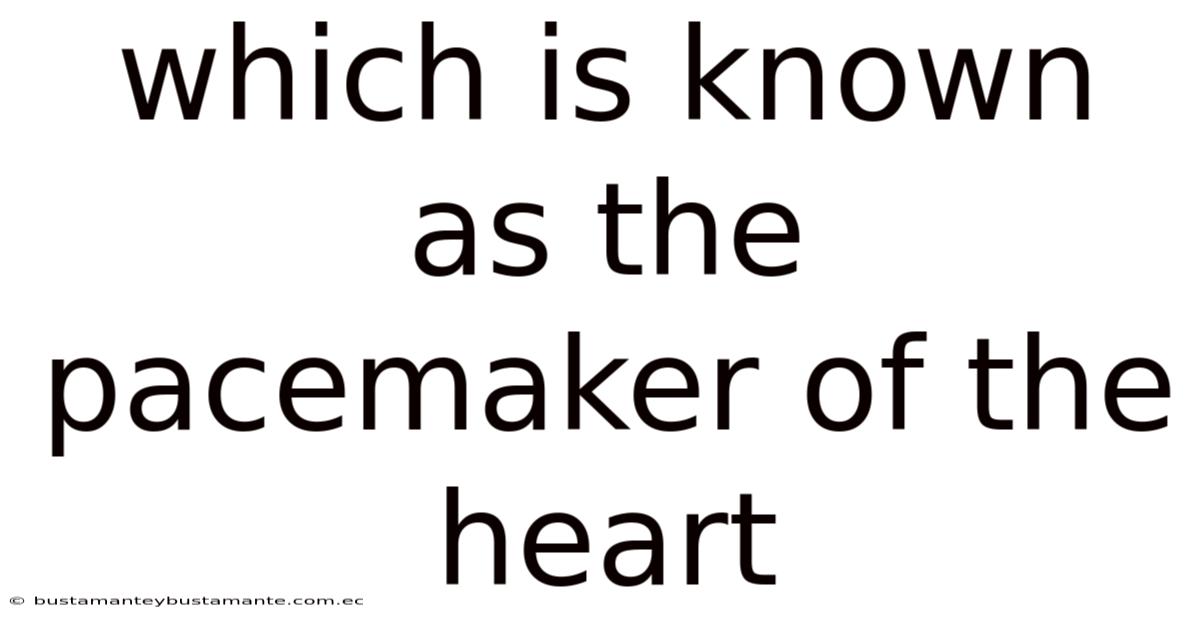 Which Is Known As The Pacemaker Of The Heart
