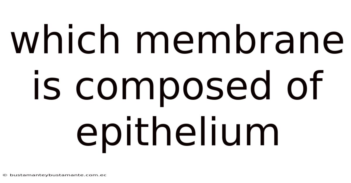Which Membrane Is Composed Of Epithelium