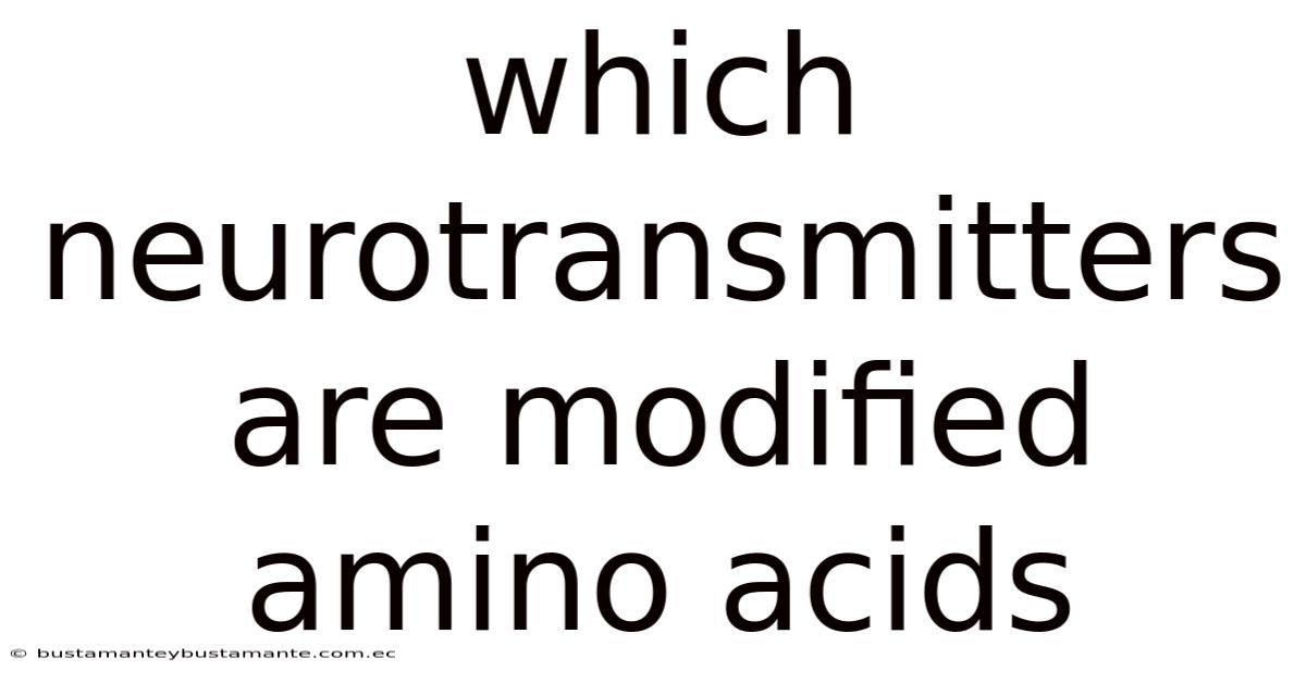 Which Neurotransmitters Are Modified Amino Acids