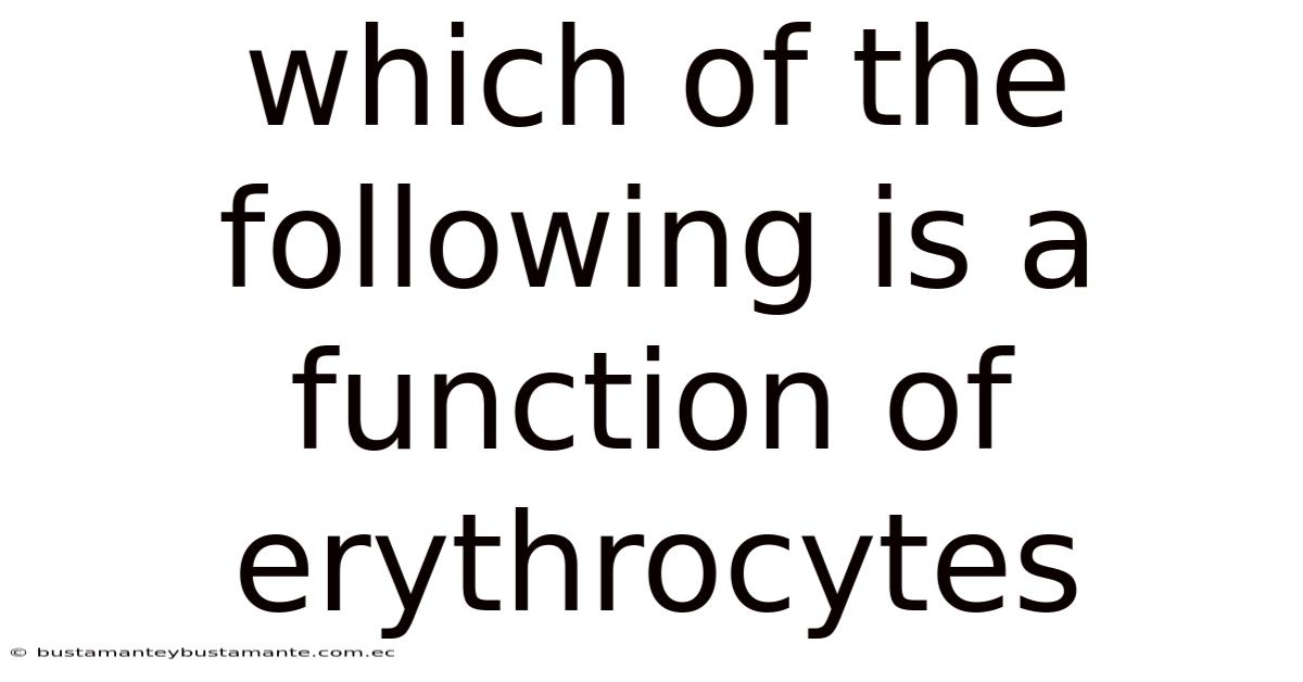 Which Of The Following Is A Function Of Erythrocytes