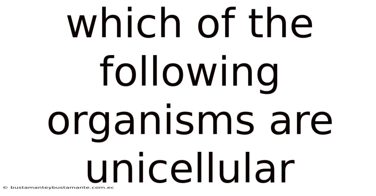 Which Of The Following Organisms Are Unicellular