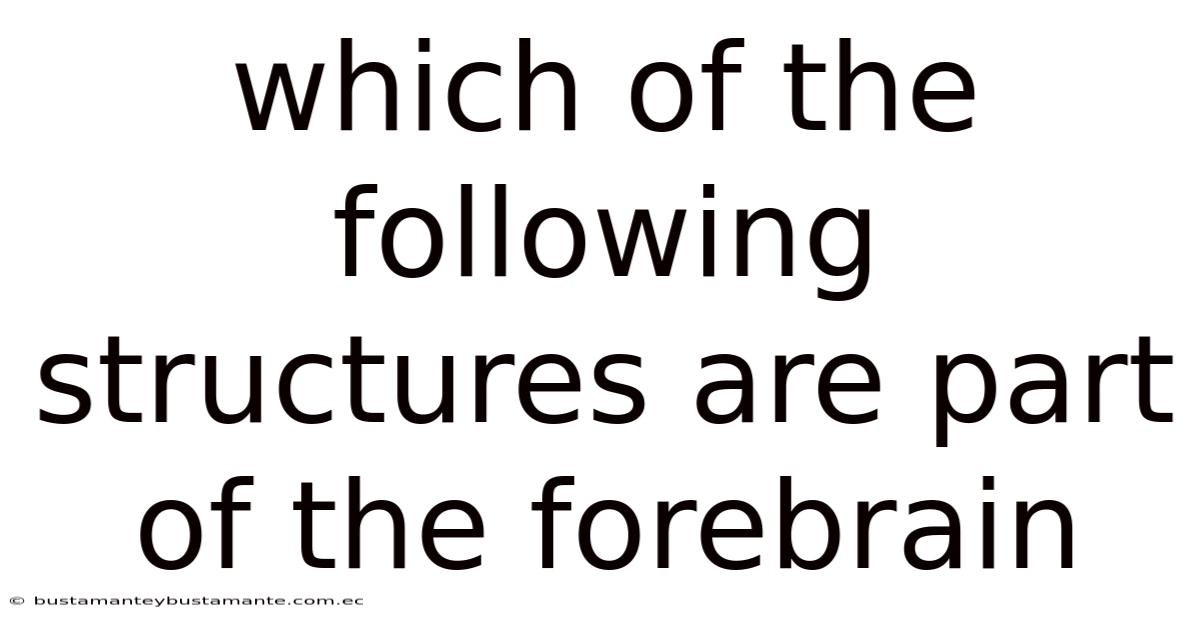 Which Of The Following Structures Are Part Of The Forebrain