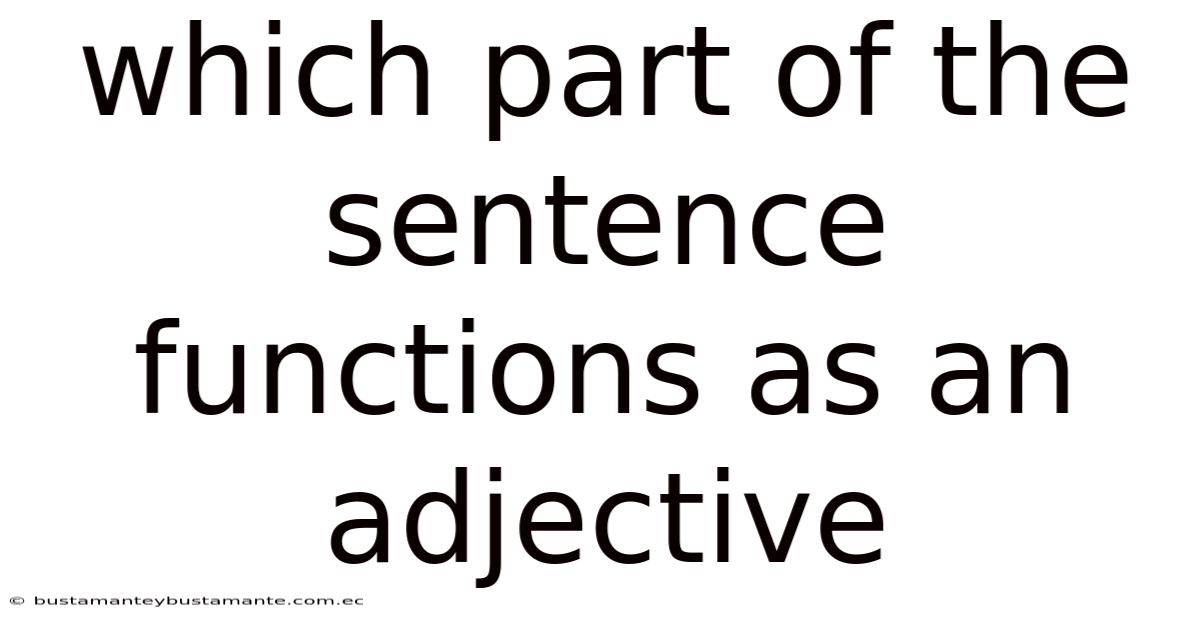 Which Part Of The Sentence Functions As An Adjective