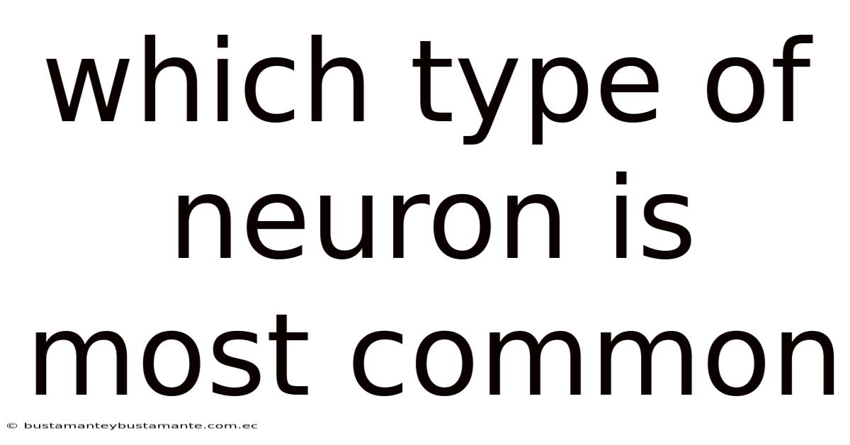 Which Type Of Neuron Is Most Common