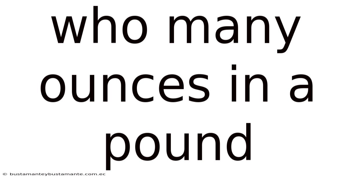 Who Many Ounces In A Pound