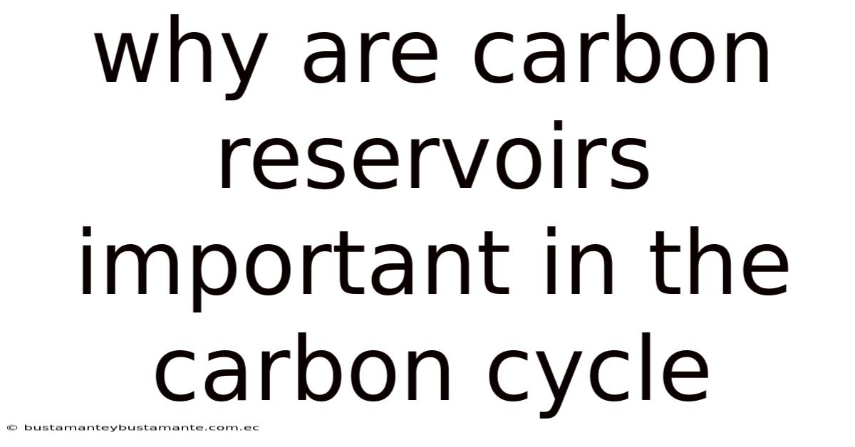Why Are Carbon Reservoirs Important In The Carbon Cycle