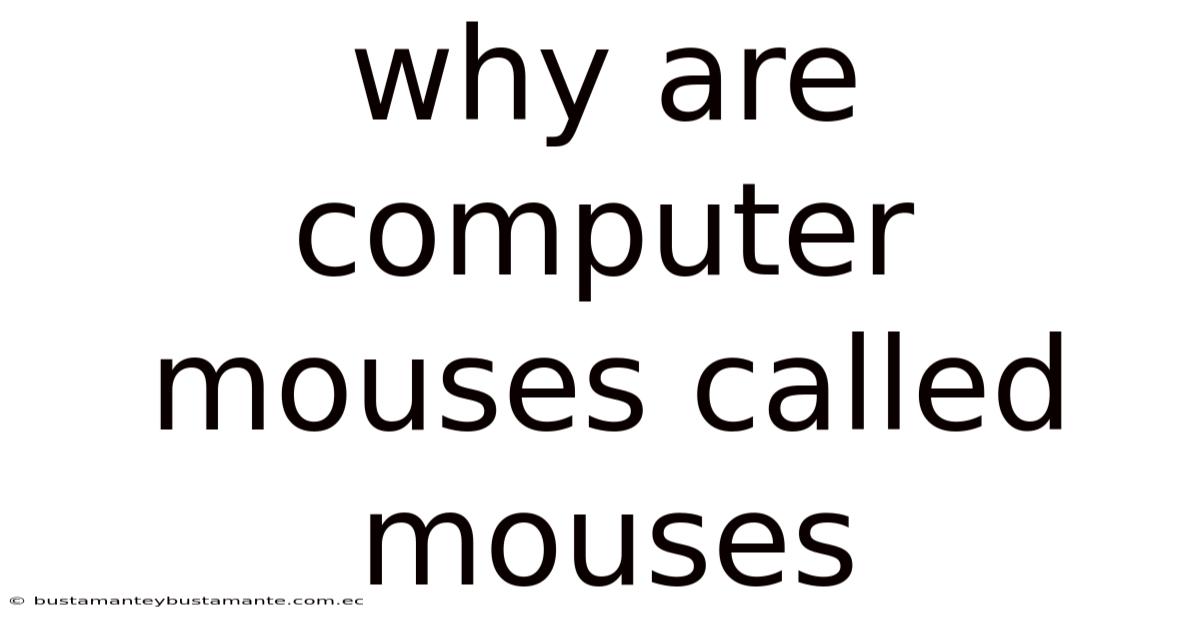 Why Are Computer Mouses Called Mouses