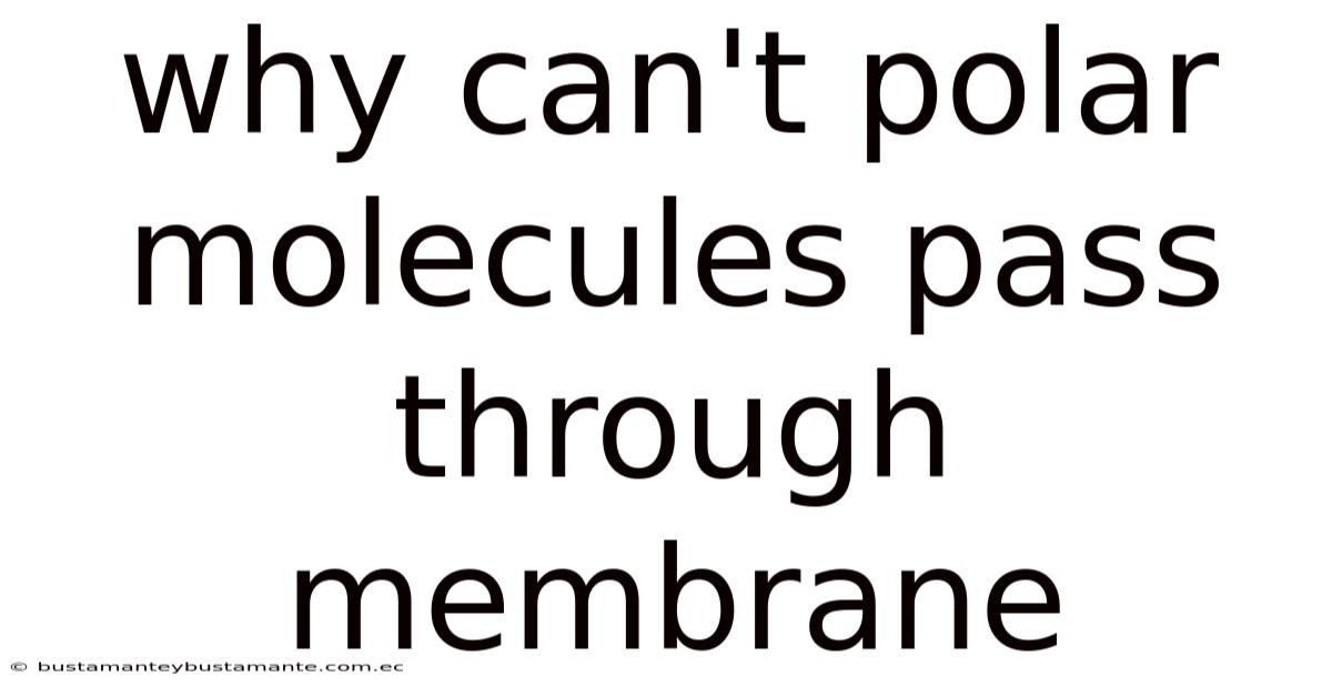 Why Can't Polar Molecules Pass Through Membrane