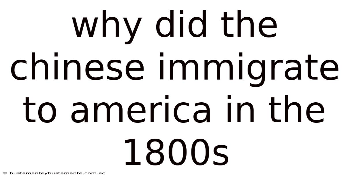 Why Did The Chinese Immigrate To America In The 1800s
