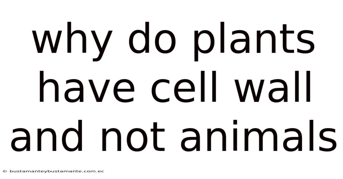 Why Do Plants Have Cell Wall And Not Animals