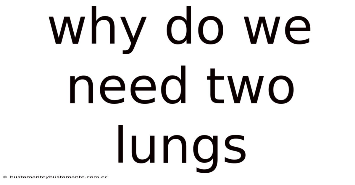 Why Do We Need Two Lungs