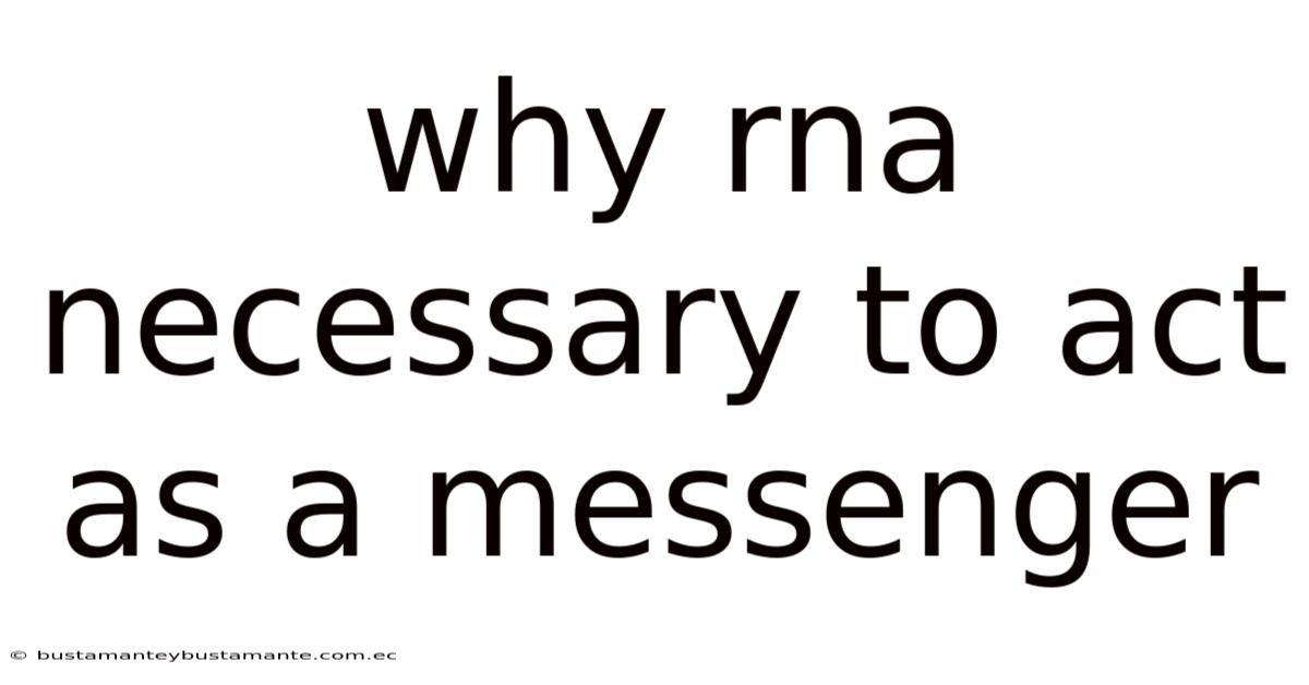 Why Rna Necessary To Act As A Messenger
